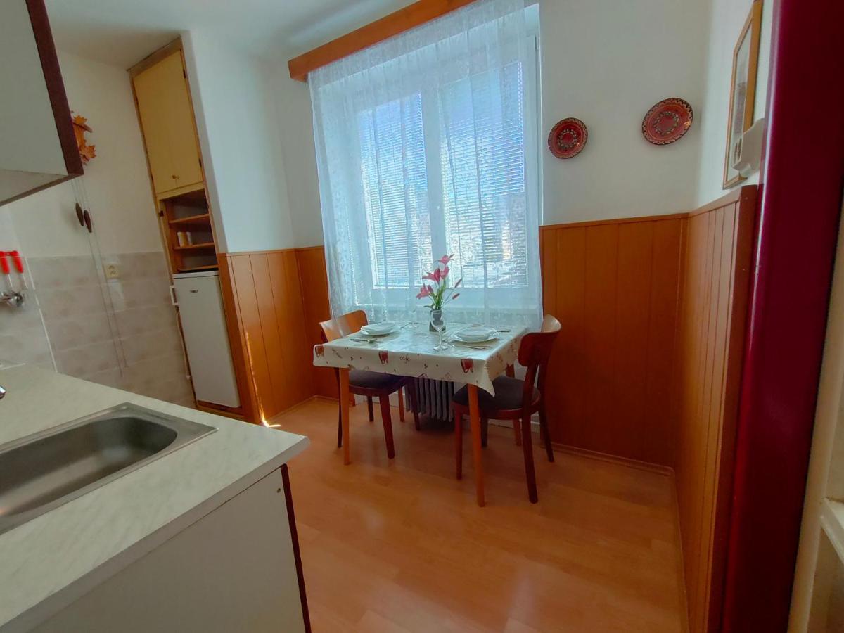 2-Iz. Byt V Tichej Lokalite S Bezplatnym Parkovanim Liptovský Hrádok Buitenkant foto